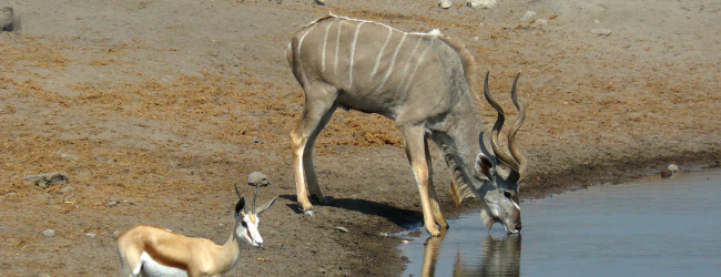 Viaggi e Vacanze in Namibia