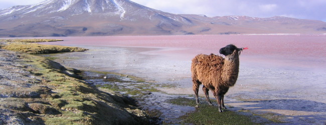 Viaggi e Vacanze in Bolivia