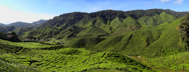 Viaggi e Vacanze in Malesia