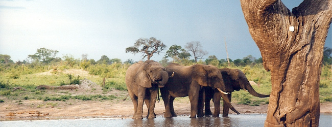 Viaggi e Vacanze in Zimbabwe