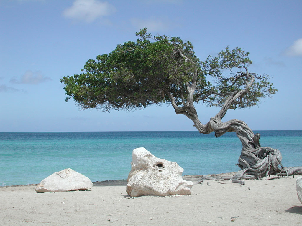 Sfondi Desktop Sardegna Immagini Gratis Spiaggia Stone Travel Stone Travel