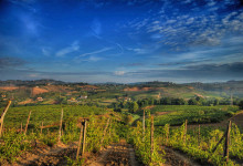 Chianti Region Wine Tasting Tour