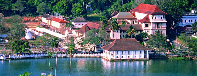Tour Standard Mini – Sri Lanka